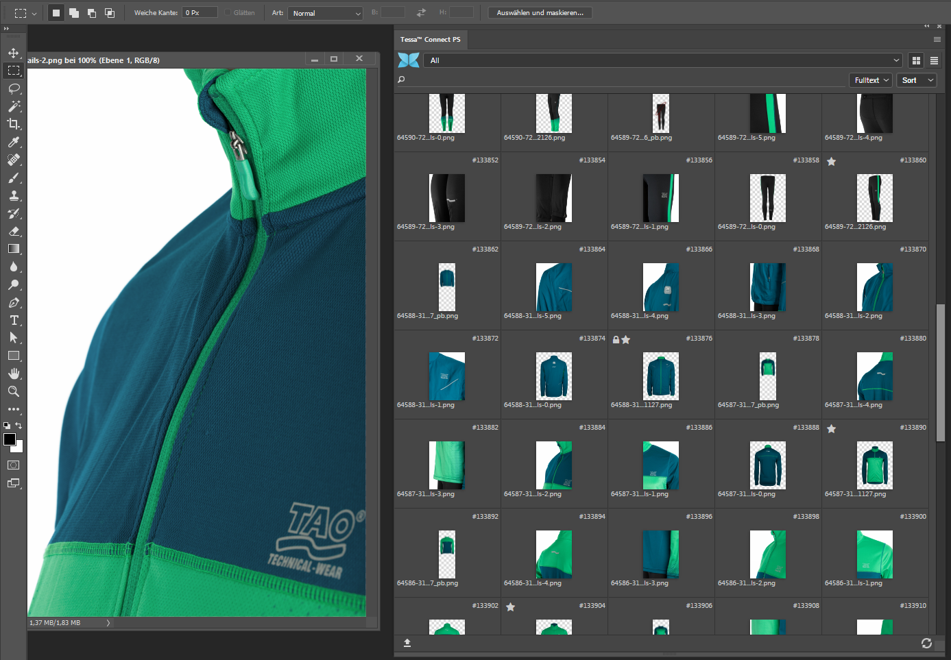 Digital Asset Management mit TESSA